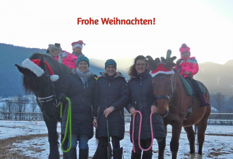Frohe Weihnachten 